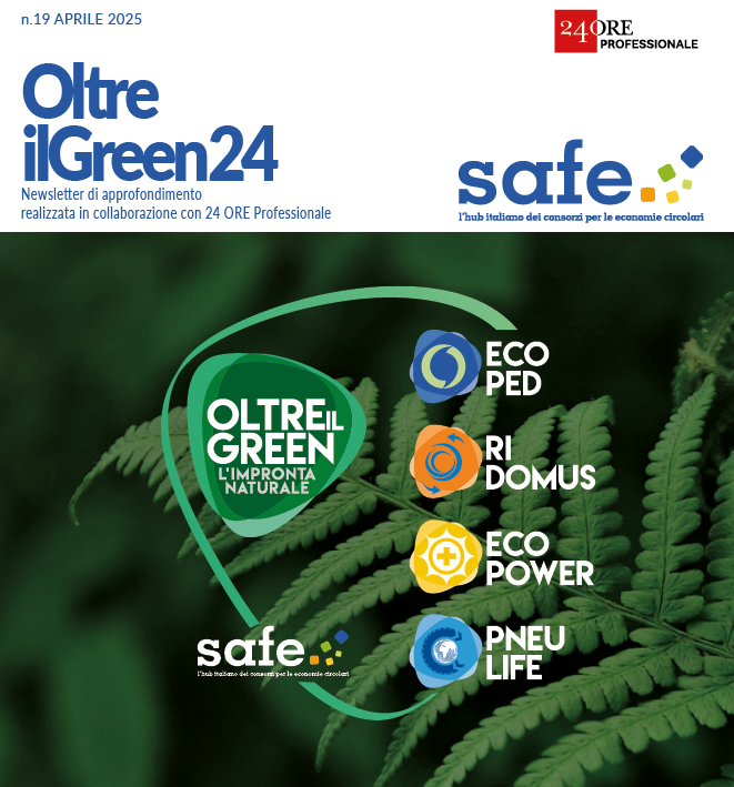 SAFE logo